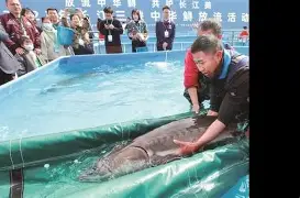 乐竞体育-包含国务委员谌贻琴：坚定不移走出一条中国足球振兴发展新路的词条